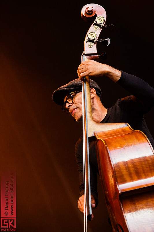 20140724_pinkmartiniraphaelgualazzi