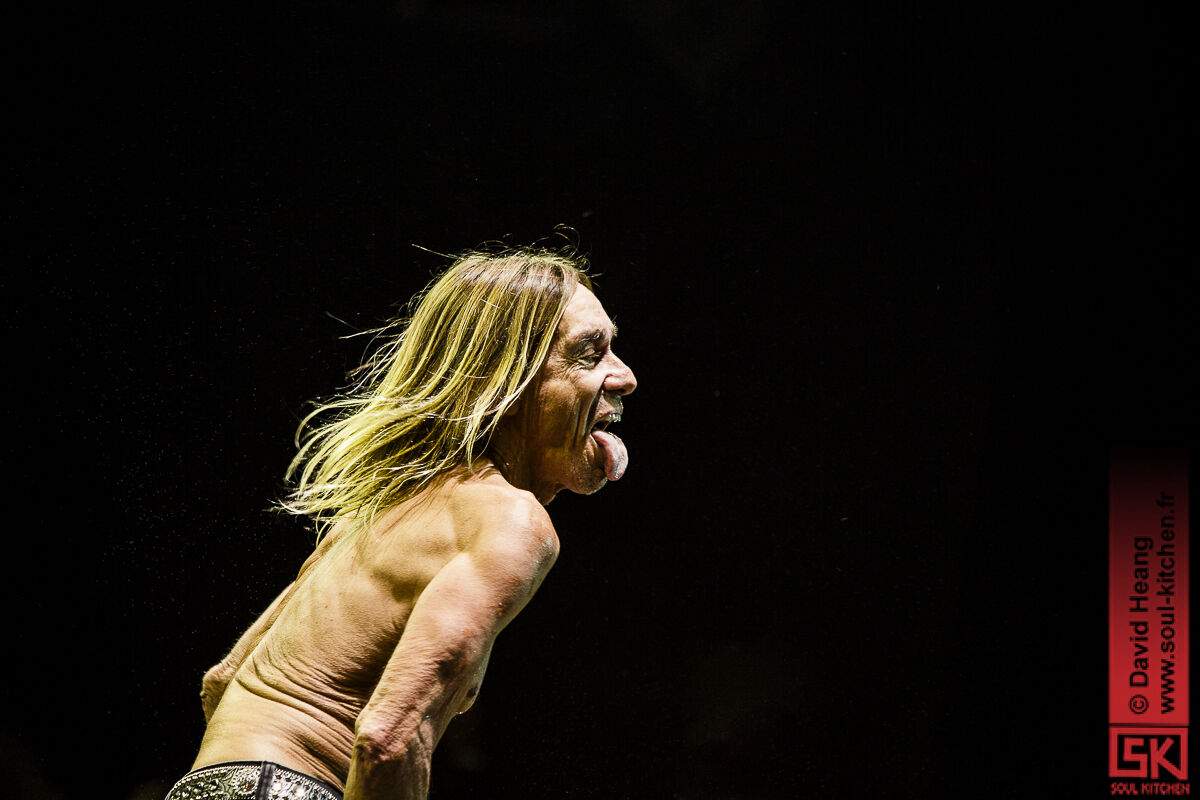 20150717_iggypop