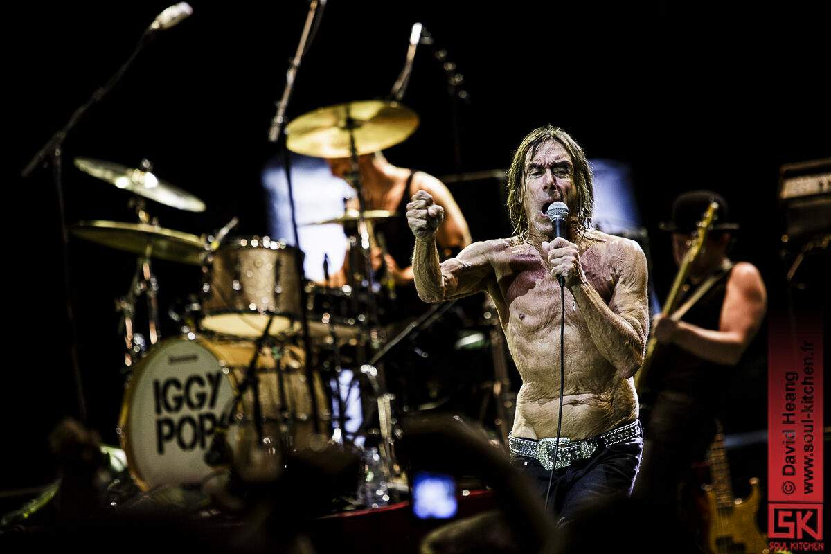 20150717_iggypop