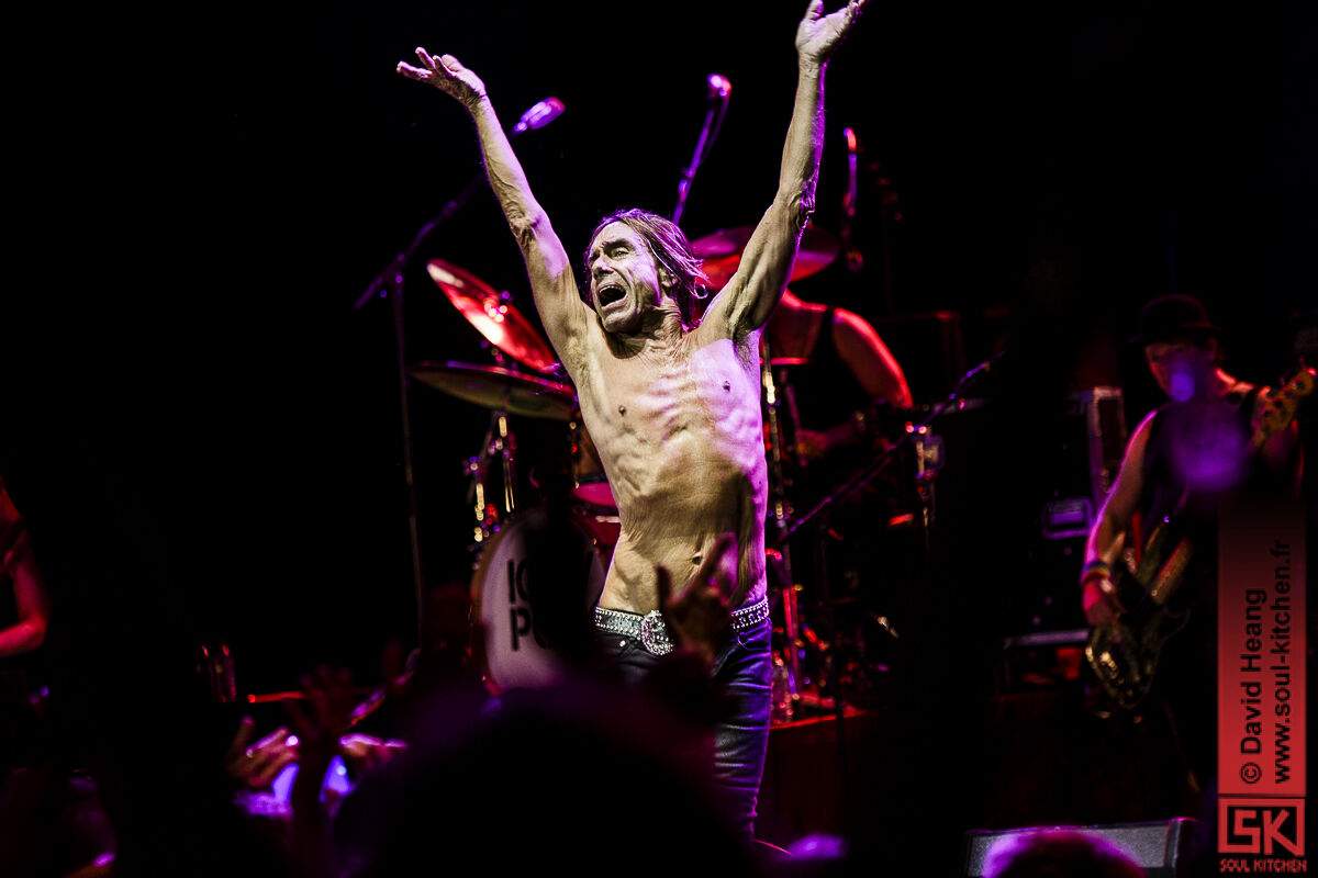 20150717_iggypop