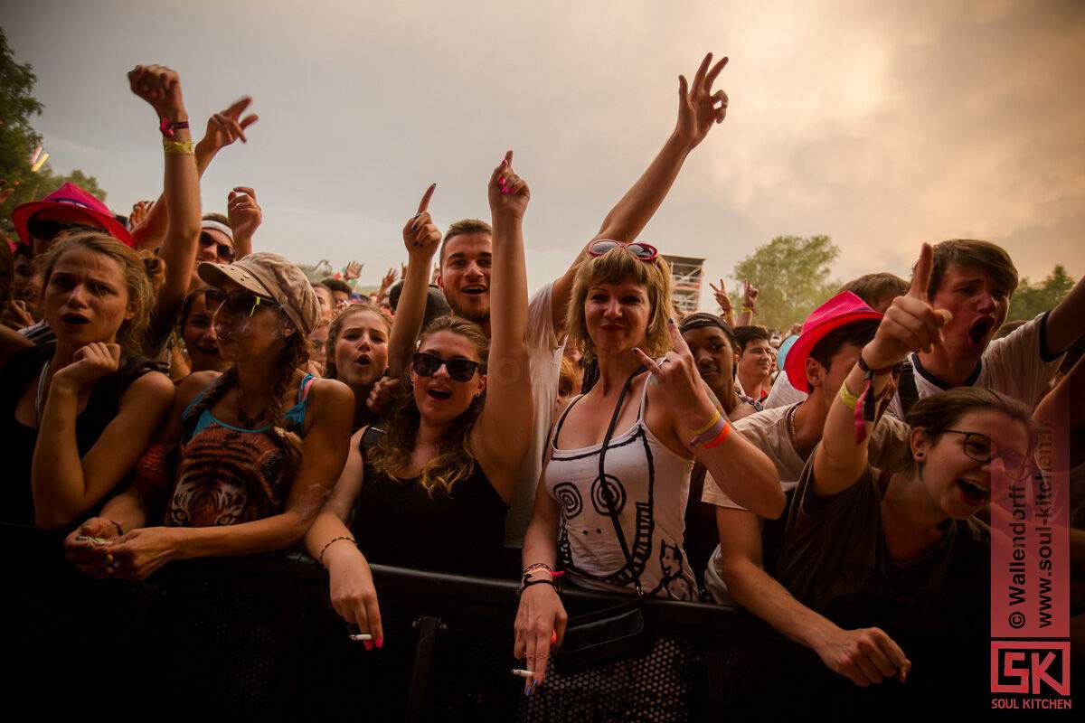 2015_07_05_Eurockéennes-3-2
