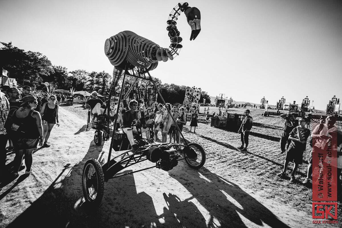 2015_07_20_paleo2
