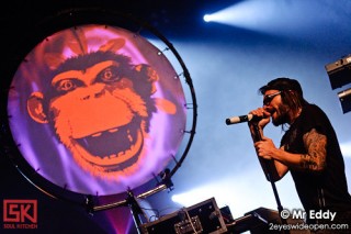 Photos : Shaka Ponk - festival de Marne 2009, 16/10/2009