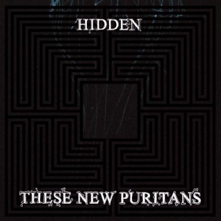 These New Puritans - Hidden