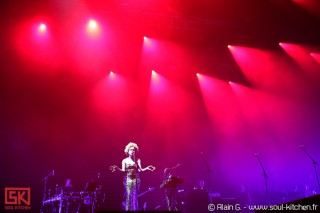 Photos concert : Massive Attack - Rock en seine 2010