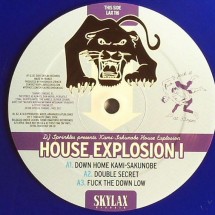 chronique : DJ Sprinkles presents Kami-Sakunobe House Explosion