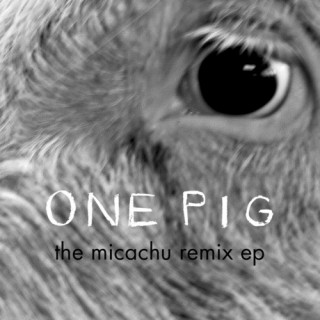 Matthew Herbert : 0ne Pig The Micachu Remix E.P.
