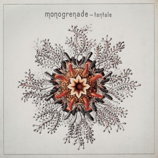 Monogrenade : Tantale