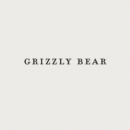 Grizzly Bear - Sleeping Ute