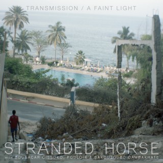 Stranded Horse