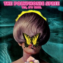 The Polyphonic Spree - You Don’t Know Me