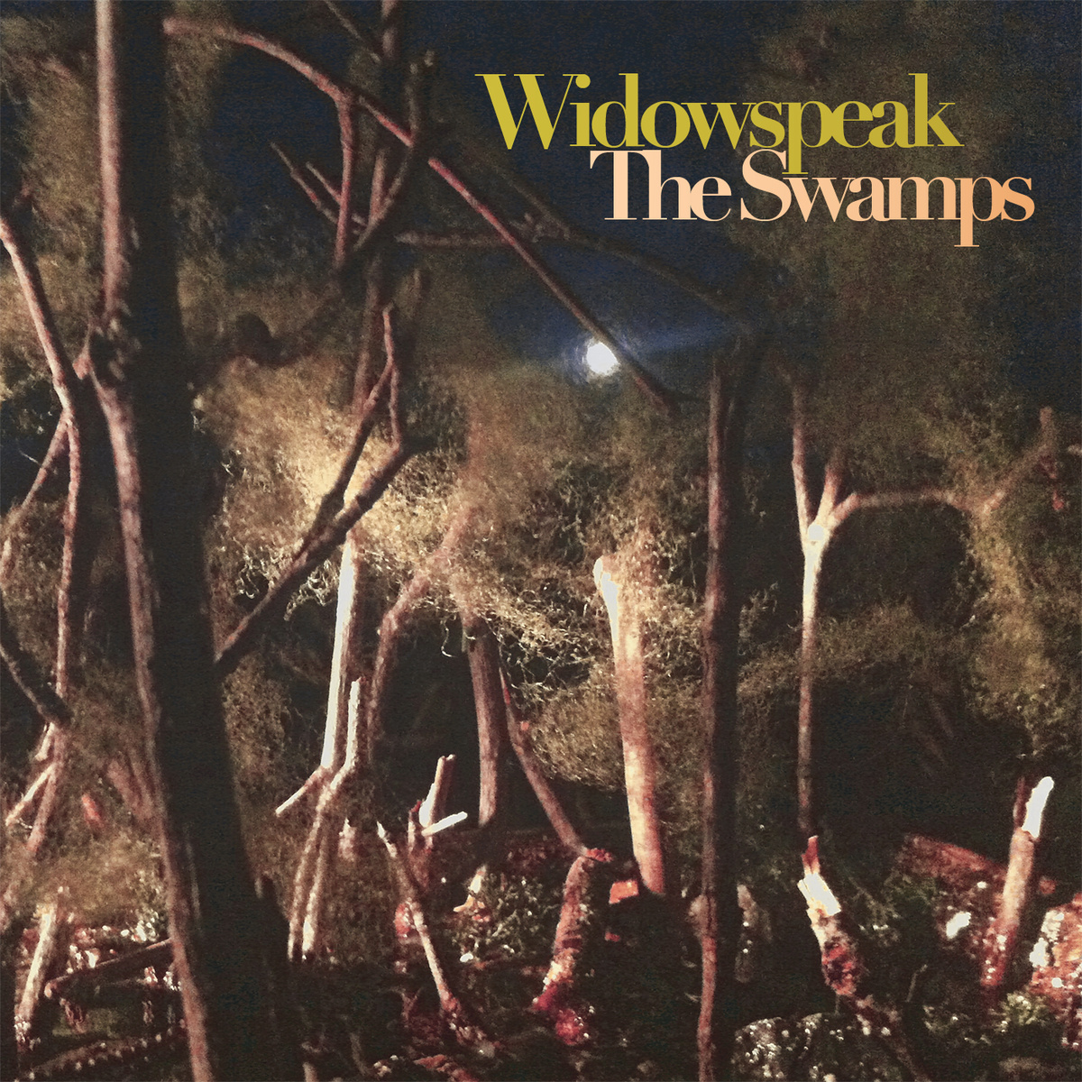 Widowspeak - The Swamp - EP