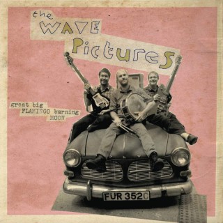 The Wave Pictures - Great Big Flamingo Burning Moon