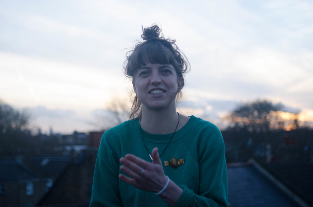 Rozi Plain