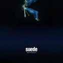 Suede - Night Thoughts