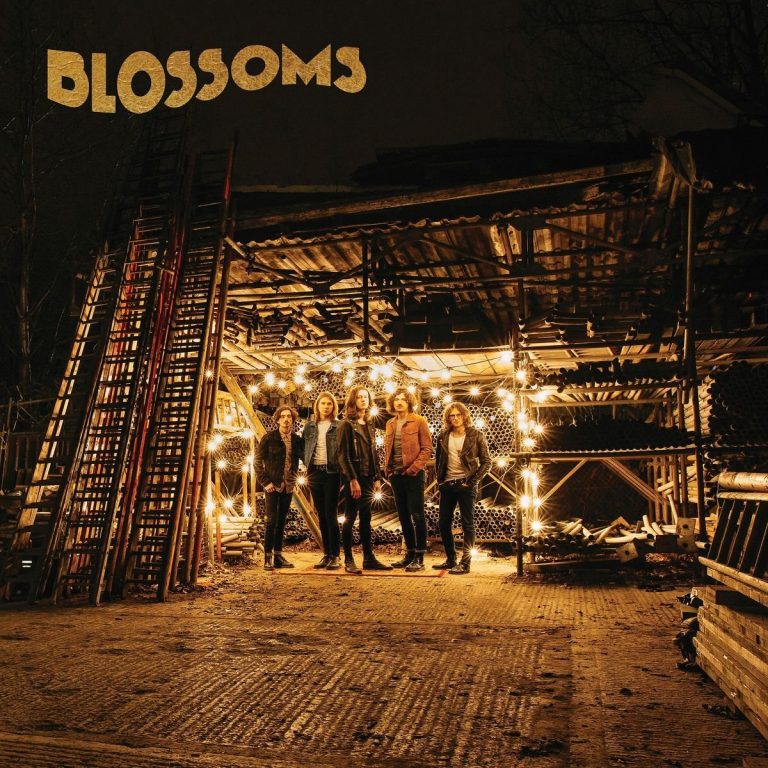 Blossoms - Blossoms