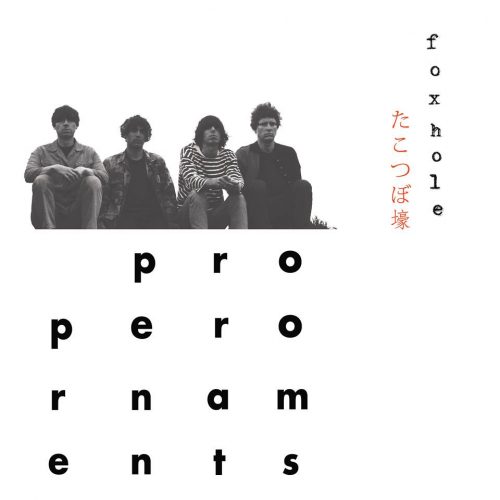 The Proper Ornaments - Foxhole