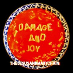 The Jesus and Mary Chain - Damage and Joy