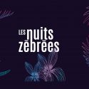 Les Nuits Zébrées 2017, Lyon