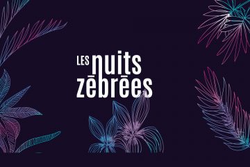 Les Nuits Zébrées 2017, Lyon