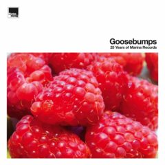 Marina Records - Goosebumps