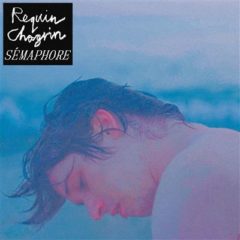 Requin Chagrin -Sémaphore