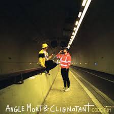 Angle mort & Clignotant - Code Pin