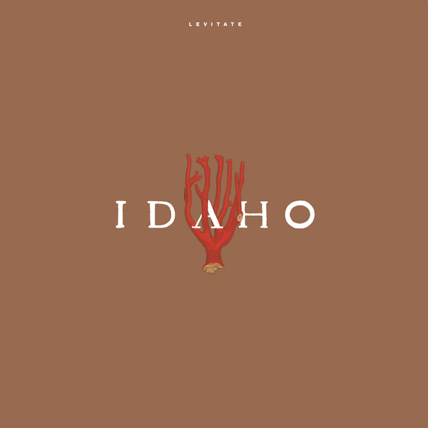 IDAHO_Levitate