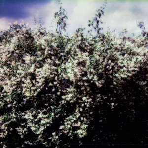 Alina Orlova - Elegantiškai Sninga