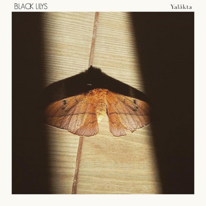 Black Lilys - Yaläkta