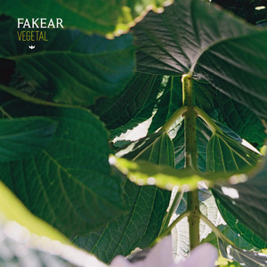 Fakear - Vegetal
