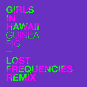 Girls in Hawaii - Guinea Pig (lost Frequencies Remix)