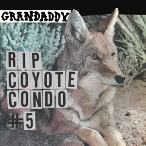 Grandaddy - Rip Coyote Condo #5