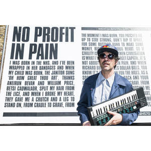 Gruff Rhys - No Profit In Pain