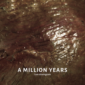 I Am Stramgram - A Million Years