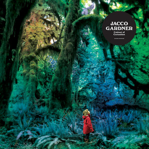 Jacco Gardner - Cabinet Of Curiosities