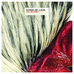 Kings of Leon - Sex On Fire