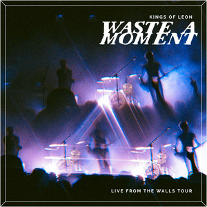 Kings of Leon - Waste A Moment (live)