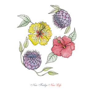 Lauren Stuart - New Fridge New Life