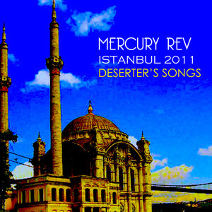Mercury Rev - Istanbul 2011