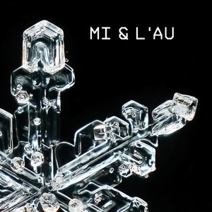 Mi And L'Au - Fly Together