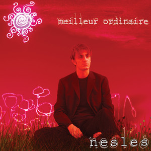 Nesles - Meilleur Ordinaire