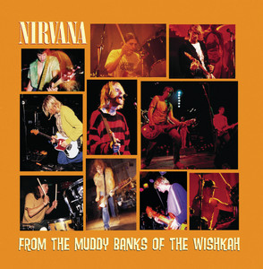 Nirvana - From The Muddy Banks Of The Wishkah (live)