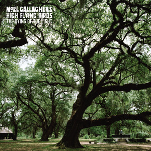 Noel Gallagher - The Dying Of The Light