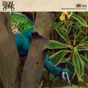 Rival Sons - Shooting Stars (in The Woods)