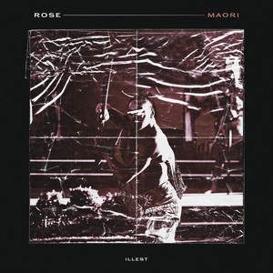 Rose - Maori