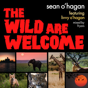 Sean O'Hagan - The Wild Are Welcome
