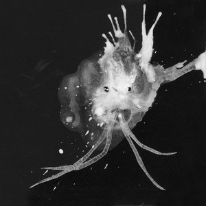 Sigur Rós - Route One