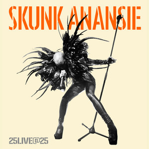 Skunk Anansie - 25live@25