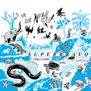 Superbravo - L’angle Vivant